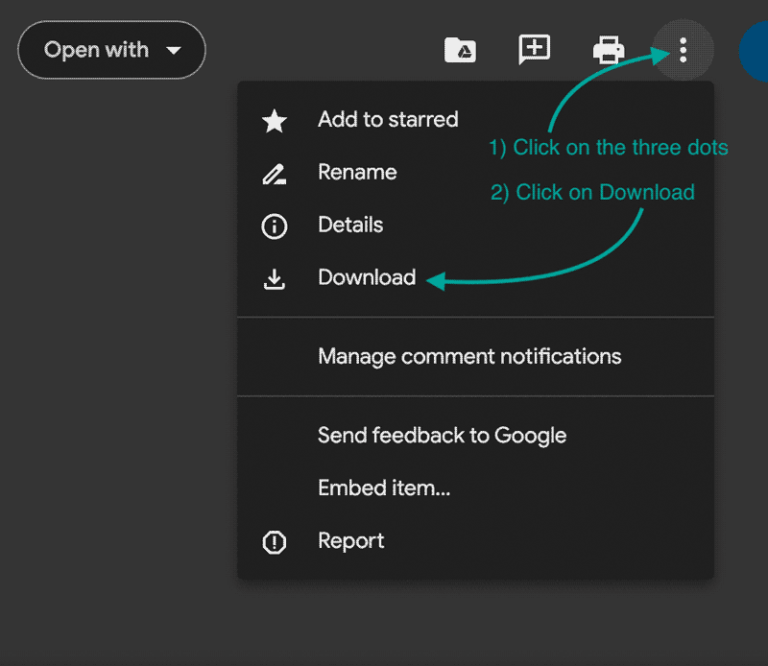 Google Drive Download Instructions
